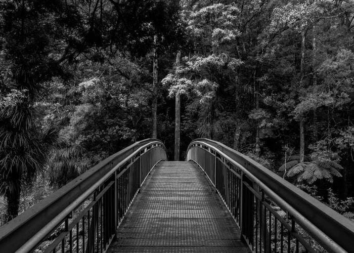 Various modern font samples arranged artistically